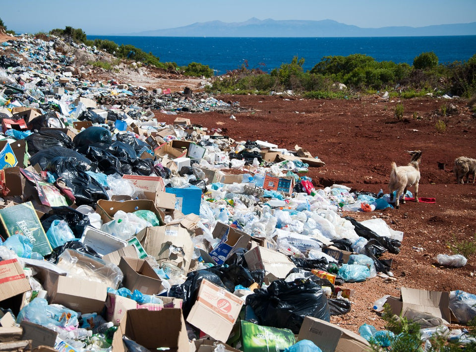 Store mængder af affald ligger i bunket i naturen, mens der står geder ved siden af.